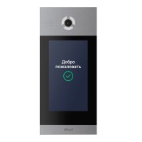 AA-14FBIS SILVER. Вызывная панель IP-домофона. BAS-IP