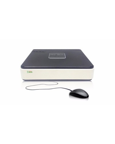 BestNVR-400. IP-видеосервер 4-канальный. BestDVR в Рязани