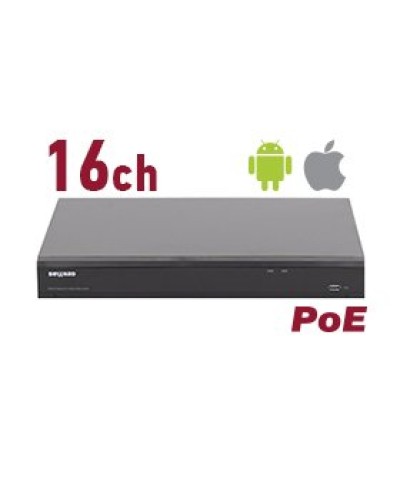 RK2216-P. Видеорегистратор IP 16-канальный. Beward в Рязани