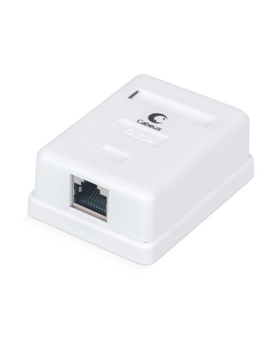WS-8P8C-Cat.5e-SH-1 (7485c): Розетка RJ-45 в Рязани