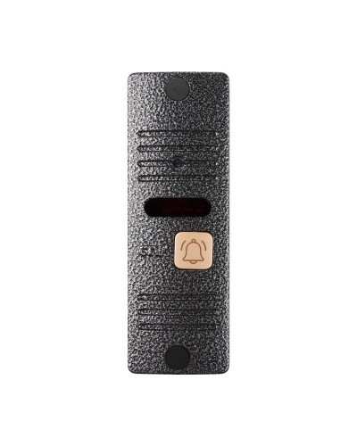 CTV-D10 Plus S (серебро). Вызывная панель цветная. CTV в Рязани