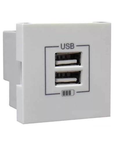 Розетка USB двойная, зарядная, белая (45439 SBR): Розетка USB двойная в Рязани