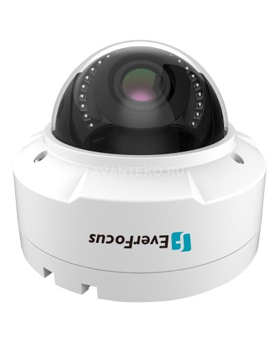 EHN-1250. Видеокамера IP купольная. EverFocus в Рязани