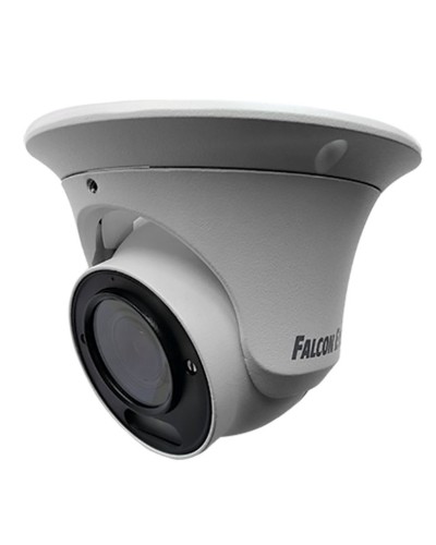 FE-IPC-DV2-40pa. Видеокамера IP купольная. Falcon EYE в Рязани