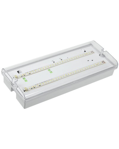 Светильник аварийный ДПА 5042-3 3ч IP65 LIGHTING (LDPA0-5042-3-65-K01). Светильник аварийный универсальный. IEK в Рязани