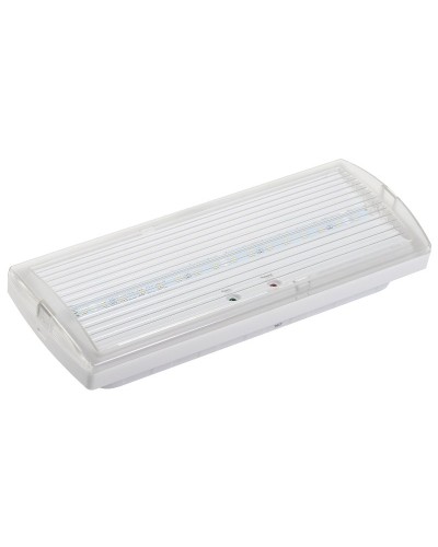 Светильник аварийный ДПА 5030-3 3ч IP20 LIGHTING (LDPA0-5030-3H-K01). Светильник аварийный постоянного действия. IEK в Рязани