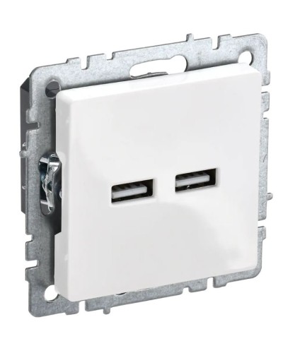 Розетка USB A+A 3,1А РЮ10-1-БрБ белый BRITE (BR-U21-D31-K01). Розетка USB. IEK в Рязани