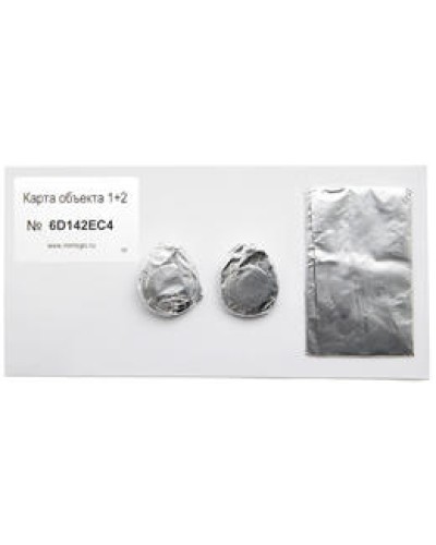 Карта объекта 1+2. Проксимити карта. IronLogic в Рязани