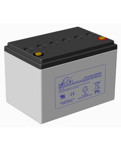 LEOCH LPG 12-60. Аккумулятор герметичный свинцово-кислотный. LEOCH в Рязани