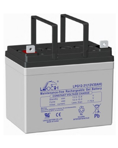LEOCH LPG 12-31. Аккумулятор герметичный свинцово-кислотный. LEOCH в Рязани