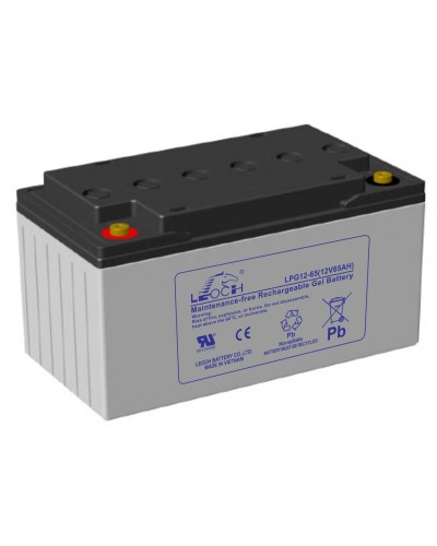 LEOCH LPG 12-65. Аккумулятор герметичный свинцово-кислотный. LEOCH в Рязани