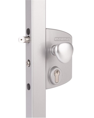 LIKQ4040 U2L (цвет: RAL 9005, черный). Замок электромеханический для калиток. Locinox в Рязани
