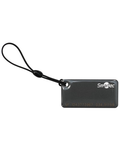 ST-PT015MF-GR. Брелок. Smartec в Рязани