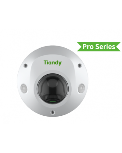 TC-C32PS I3/E/Y/M/H/2.8/V4.2. Видеокамера IP купольная. Tiandy в Рязани