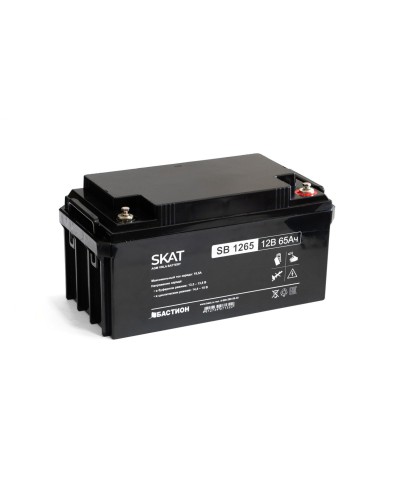SKAT SB 1265 (2541). Аккумулятор герметичный свинцово-кислотный. Бастион в Рязани