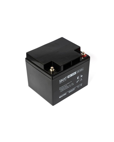 SKAT SB 1240 (2538). Аккумулятор герметичный свинцово-кислотный. Бастион в Рязани