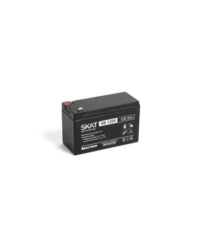 SKAT SB 1209 (2540). Аккумулятор герметичный свинцово-кислотный. Бастион в Рязани