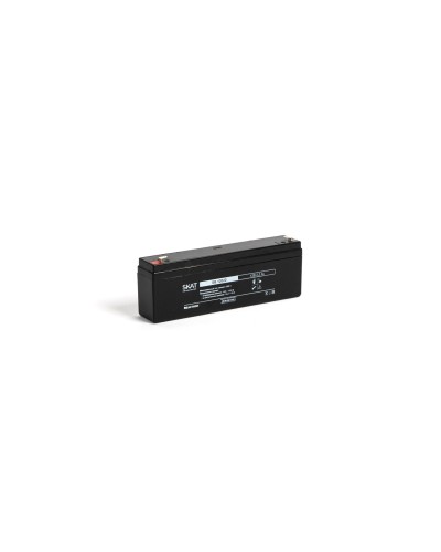 SKAT SB 12022 (2539). Аккумулятор герметичный свинцово-кислотный. Бастион в Рязани