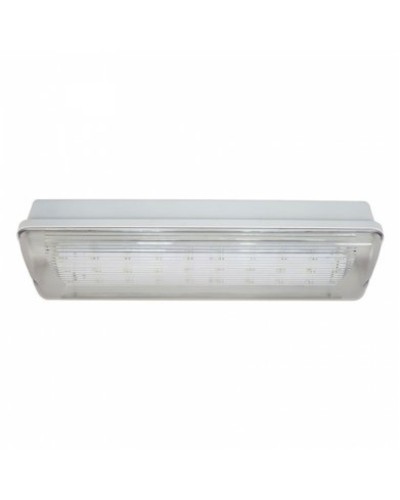 SL-213-30LED1.8 исп. 1 IP65. Светильник аварийного освещения. ИП Раченков А.В. в Рязани