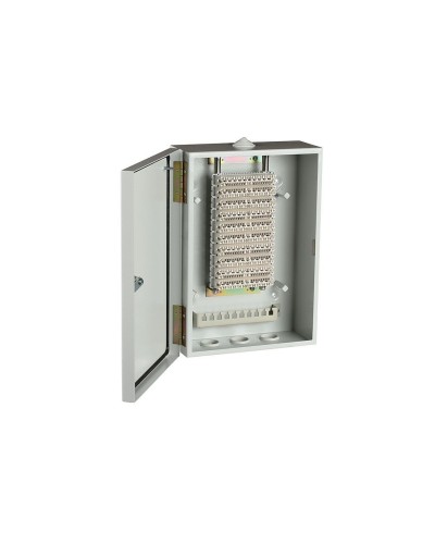 ШРН-В/100-Р (120908-00122). Шкаф ШРН-В/100-Р, плинт ПВТ-10Р-5е. ССД (Связьстройдеталь) в Рязани