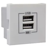 Розетка USB двойная, зарядная, белая (45439 SBR): Розетка USB двойная
