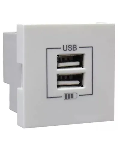 Розетка USB двойная, зарядная, белая (45439 SBR): Розетка USB двойная в Рязани