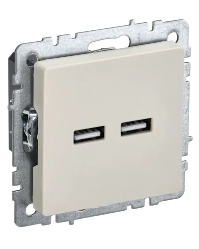 Розетка USB A+A 3,1А РЮ10-1-БрКр бежевый BRITE (BR-U21-D31-K10). Розетка USB. IEK в Рязани