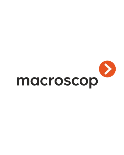 Расширение с LS до ST. Программное обеспечение (опция). MACROSCOP в Рязани