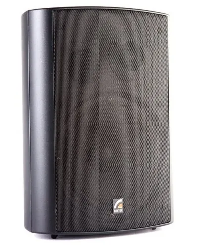 MS-20TB (ROXTON). Звуковая настенная колонка. ROXTON в Рязани
