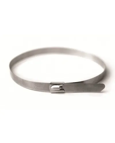 Хомут из нержавеющей стали AISI 304 4,6х350 (30 шт) (27407): Хомут из нержавеющей стали в Рязани