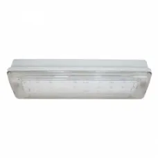 SL-213-30LED1.8 исп. 1 IP65. Светильник аварийного освещения. ИП Раченков А.В.
