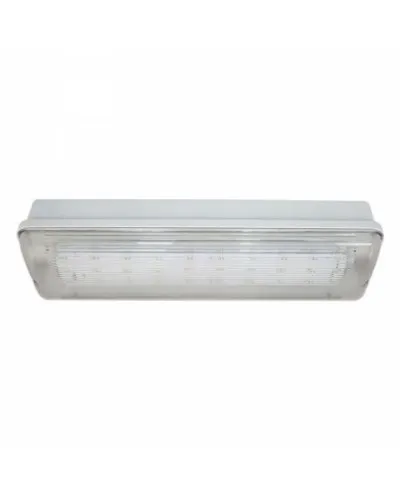 SL-213-30LED1.8 исп. 1 IP65. Светильник аварийного освещения. ИП Раченков А.В. в Рязани